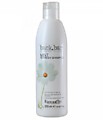 ШАМПУНЬ С МЕНТОЛОМ BACK BAR MINT SHAMPOO 250